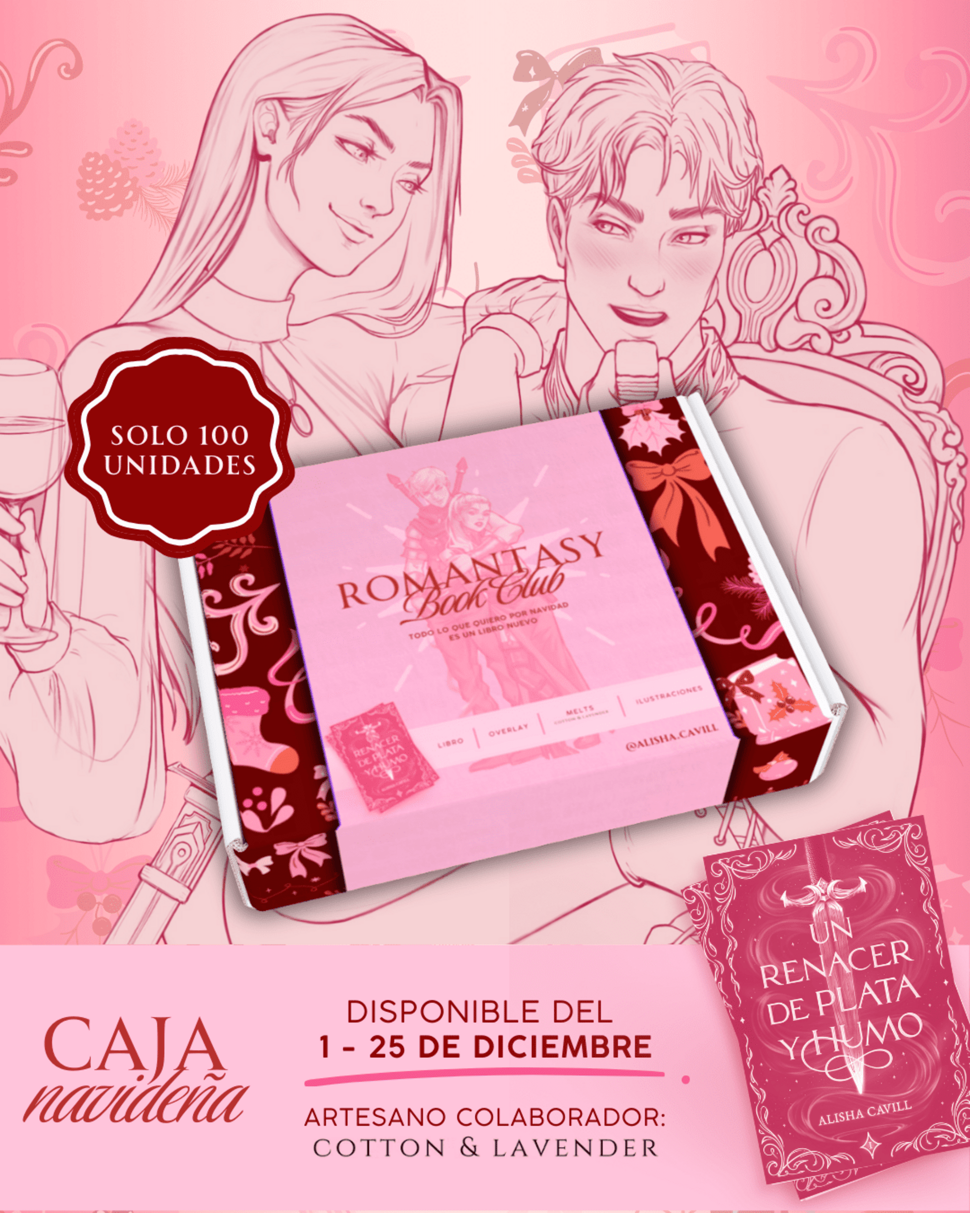 Caja navideña (UNIDADES LIMITADAS) - 1