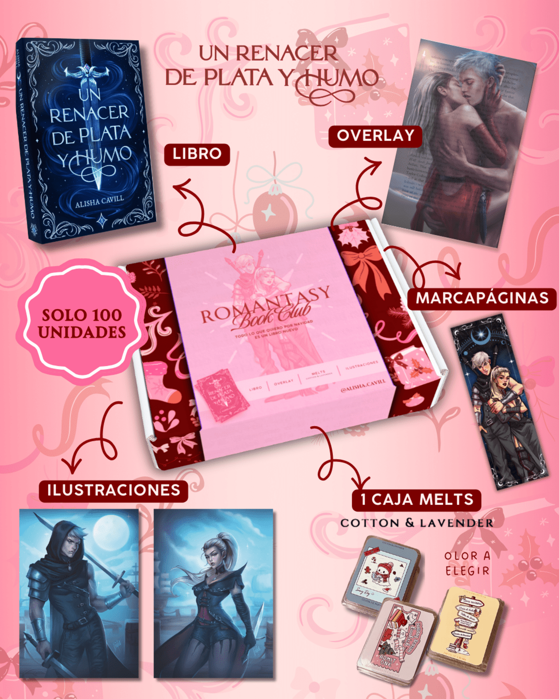 Caja navideña (UNIDADES LIMITADAS) - 2